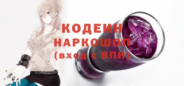 дурь Инта