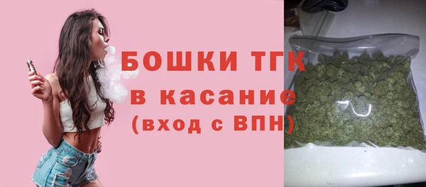 дурь Инта