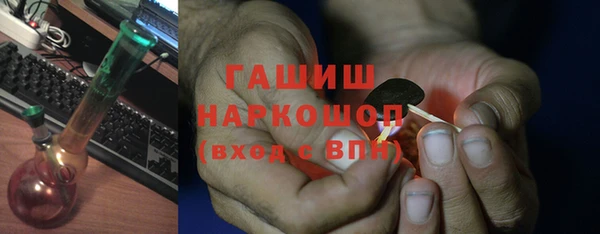 дурь Инта