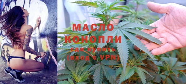 apvp Инсар