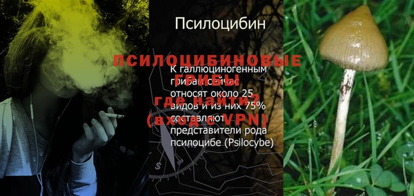 дурь Инта