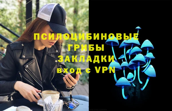 apvp Инсар