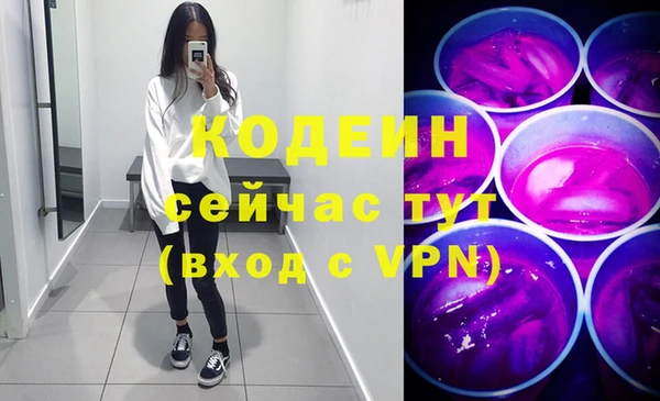 apvp Инсар