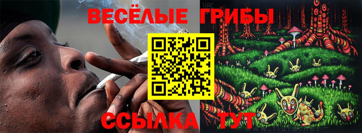Галлюциногенные грибы GOLDEN TEACHER Кемерово