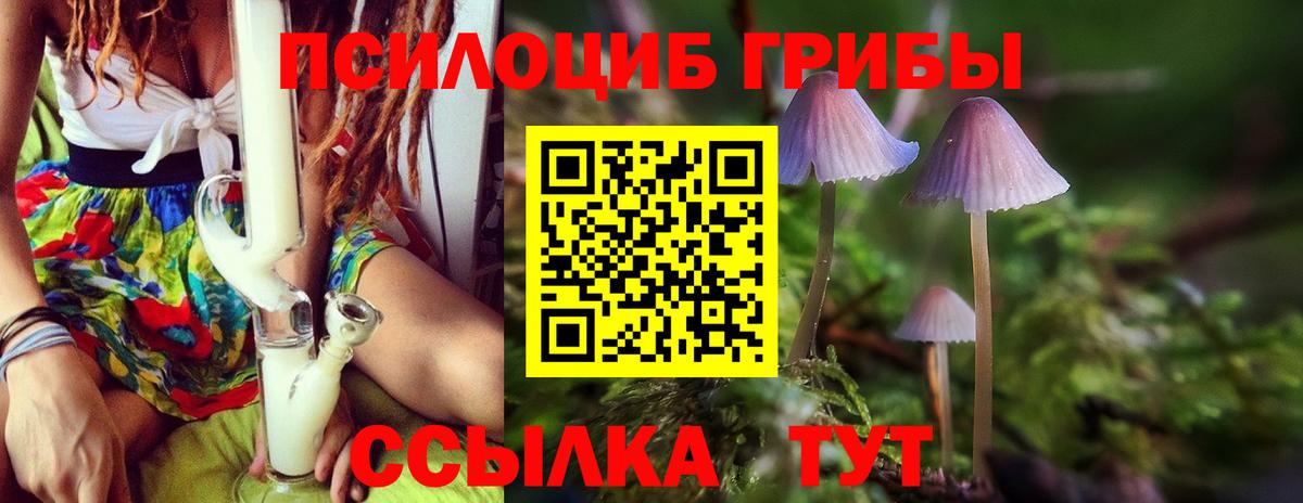 Галлюциногенные грибы прущие грибы  Псилоцибиновые грибы Psilocybe  Кемерово  Вход с VPN 